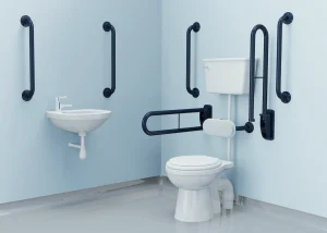 Unisex Accessible Peninsular WC Scenario